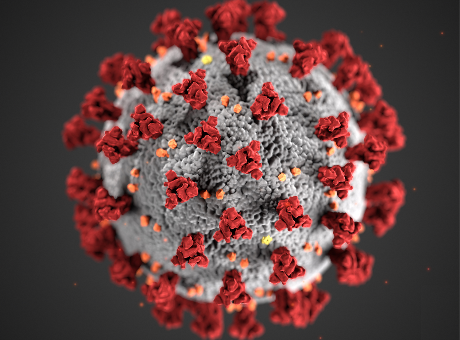 coronavirus